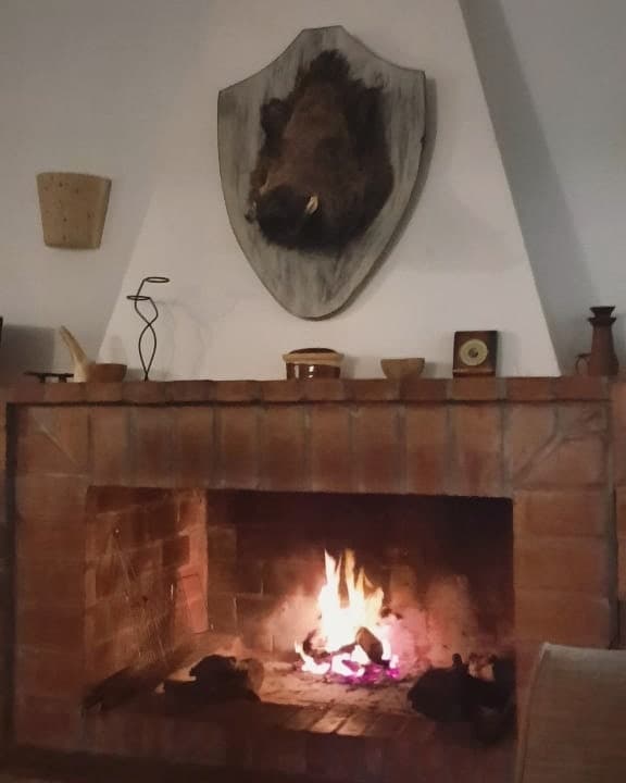 Guesthouse 4