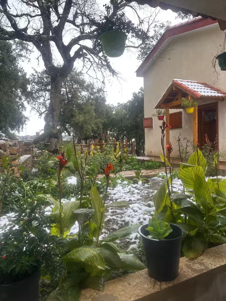 Guesthouse 3
