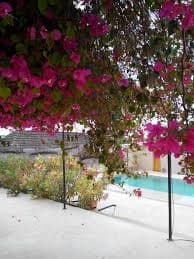 Guesthouse 3